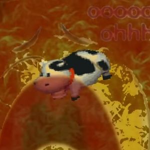 Meet your Posher, Carlin